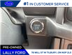 2024 Ford F-150 XLT (Stk: LFFF00243) in Tilbury - Image 12 of 15