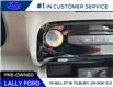 2025 Ford Escape Platinum (Stk: LFEP00611) in Tilbury - Image 12 of 15