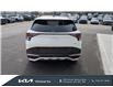 2024 Kia Sportage EX (Stk: D25458A) in Kitchener - Image 6 of 26
