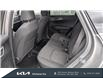 2024 Kia Sportage LX (Stk: 24186) in Kitchener - Image 14 of 23