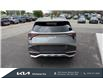 2024 Kia Sportage LX (Stk: 24186) in Kitchener - Image 6 of 23