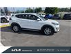 2019 Hyundai Tucson Preferred (Stk: 24186A) in Kitchener - Image 4 of 23