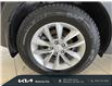 2017 Kia Sorento 2.4L LX (Stk: 23116A) in Waterloo - Image 19 of 20