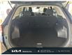 2023 Kia Sportage LX (Stk: 23038) in Waterloo - Image 20 of 21