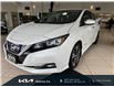 2019 Nissan LEAF SV (Stk: P20335) in Waterloo - Image 23 of 44