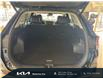 2024 Kia Sportage EX Premium w/Black Interior (Stk: 25318A) in Waterloo - Image 22 of 23