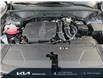 2025 Kia Sorento 2.5T EX (Stk: 25460) in Waterloo - Image 6 of 25