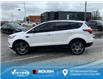 2019 Ford Escape SEL (Stk: V1061) in Chatham - Image 6 of 26