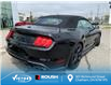 2019 Ford Mustang GT Premium (Stk: V3673LB) in Chatham - Image 13 of 30