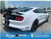 2019 Ford Shelby GT350 Base (Stk: V0033) in Chatham - Image 8 of 26