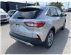 2022 Ford Escape SEL (Stk: VEP21373) in Chatham - Image 6 of 16