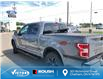 2019 Ford F-150 XLT (Stk: v21098a) in Chatham - Image 5 of 16