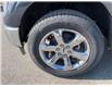 2022 Ford F-150 Lariat (Stk: VFF21484) in Chatham - Image 10 of 17