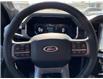 2022 Ford F-150 Lariat (Stk: VFF21484) in Chatham - Image 17 of 17