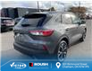 2022 Ford Escape SE (Stk: VEP21520) in Chatham - Image 6 of 18