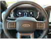 2022 Ford F-150 Lariat (Stk: VFF21530) in Chatham - Image 16 of 17