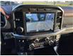 2022 Ford F-150 Lariat (Stk: VFF21530) in Chatham - Image 17 of 17