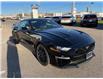 2022 Ford Mustang GT Premium (Stk: VMU21558) in Chatham - Image 4 of 16