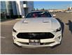 2022 Ford Mustang GT Premium (Stk: VMU21559) in Chatham - Image 3 of 18