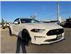 2022 Ford Mustang GT Premium (Stk: VMU21559) in Chatham - Image 4 of 18