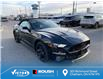 2022 Ford Mustang GT Premium (Stk: VMU21577) in Chatham - Image 4 of 16