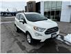 2019 Ford EcoSport SE (Stk: V6787LB) in Chatham - Image 8 of 30