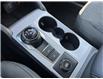 2022 Ford Bronco Sport Big Bend (Stk: VBS21535) in Chatham - Image 14 of 16