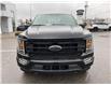 2023 Ford F-150 XLT (Stk: VFF21706) in Chatham - Image 5 of 16