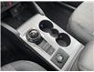 2023 Ford Bronco Sport Big Bend (Stk: VBS21656) in Chatham - Image 13 of 16