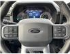 2023 Ford F-150 XLT (Stk: VFF21727) in Chatham - Image 13 of 16