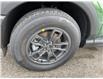 2023 Ford Bronco Sport Big Bend (Stk: VBS21676) in Chatham - Image 6 of 16