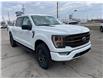 2023 Ford F-150 Tremor (Stk: VFF21761) in Chatham - Image 4 of 16