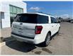 2022 Ford Expedition Max Platinum (Stk: V4159LB) in Chatham - Image 13 of 29
