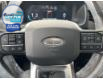 2024 Ford Expedition Platinum (Stk: VED22302) in Chatham - Image 11 of 17