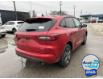 2024 Ford Escape ST-Line (Stk: VEP22510) in Chatham - Image 3 of 16