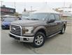2015 Ford F-150 Lariat (Stk: A0267) in Saskatoon - Image 1 of 17