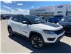 2018 Jeep Compass Trailhawk (Stk: N-980A) in Calgary - Image 1 of 24