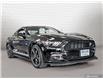 2017 Ford Mustang  (Stk: B11014) in Orangeville - Image 1 of 22