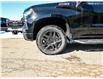2023 Chevrolet Silverado 1500 LT Trail Boss (Stk: 233270) in Kitchener - Image 2 of 19