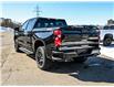 2023 Chevrolet Silverado 1500 LT Trail Boss (Stk: 233270) in Kitchener - Image 4 of 19