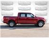 2016 Ford F-150 XLT (Stk: 14388A) in Orillia - Image 3 of 21