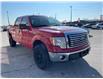 2010 Ford F-150 XLT (Stk: K10530) in Tilbury - Image 4 of 13