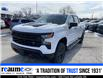 2023 Chevrolet Silverado 1500 Custom Trail Boss (Stk: 23-0098) in LaSalle - Image 1 of 20