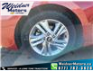 2019 Hyundai Elantra Preferred (Stk: 23N004B) in Lacombe - Image 6 of 27