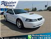 2003 Ford Mustang GT (Stk: 23P015) in Lacombe - Image 7 of 24