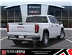 2025 GMC Sierra 1500 Pro (Stk: 250087) in St. John’s - Image 4 of 6