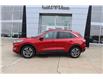 2020 Ford Escape SEL (Stk: 9522A) in St. John’s - Image 8 of 18