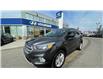 2017 Ford Escape SE (Stk: N070895A) in Calgary - Image 4 of 30