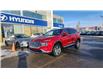 2023 Hyundai Santa Fe Preferred w/Trend Package (Stk: N535053) in Calgary - Image 2 of 11
