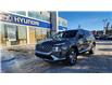 2023 Hyundai Santa Fe Preferred w/Trend Package (Stk: N530762) in Calgary - Image 1 of 13